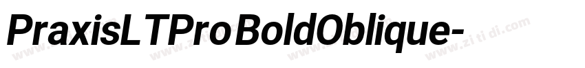 PraxisLTPro BoldOblique字体转换